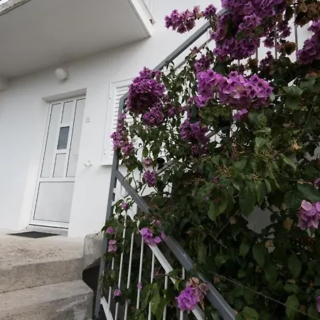 Apartmán In Stupin Celine With Sea View, Balcony, Air Conditioning, Wifi 5149-1