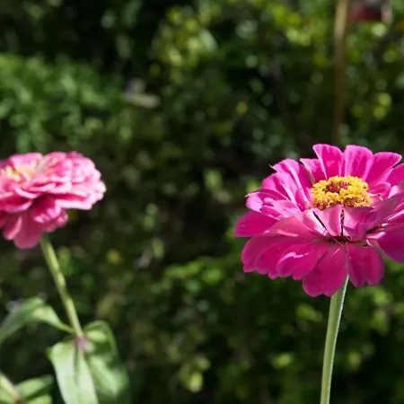 In Stupin Celine With Sea View, Balcony, Air Conditioning, Wifi 5149-1 *