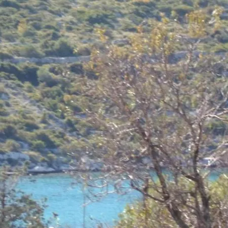 In Stupin Celine With Sea View, Balcony, Air Conditioning, Wifi 5149-1 * Podglavica