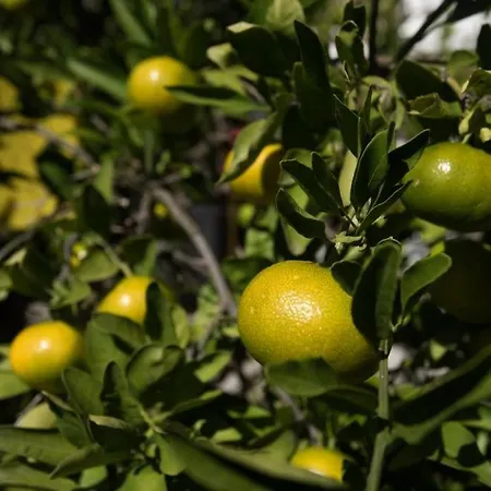 Apartman In Stupin Celine With Sea View, Balcony, Air Conditioning, Wifi 5149-1 *