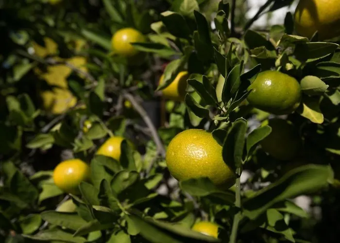 Appartement In Stupin Celine With Sea View, Balcony, Air Conditioning, Wifi 5149-1 *